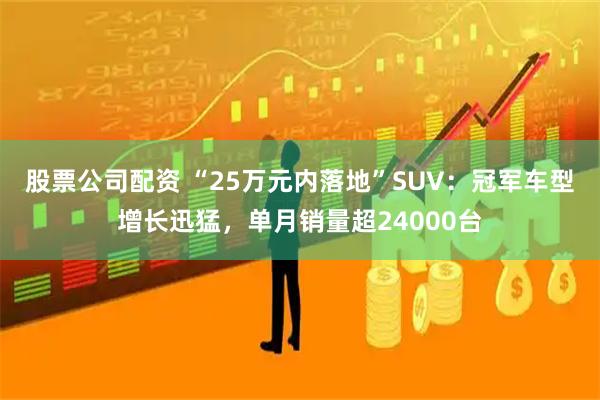 股票公司配资 “25万元内落地”SUV：冠军车型增长迅猛，单月销量超24000台